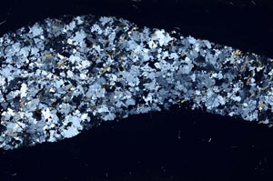 Cross Polarized, S56565