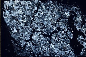 Cross Polarized, S56566