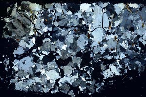 Cross Polarized, S56568
