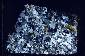 Cross Polarized, S56570