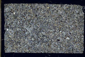 Cross Polarized, S56576