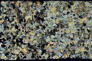 Cross Polarized, S56580