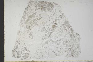 Plane Polarized, S56585