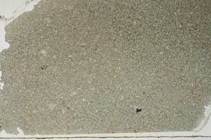 Plane Polarized, S56594
