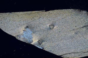 Cross Polarized, S56597