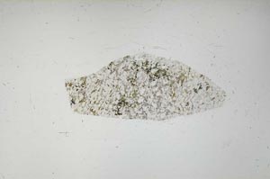 Plane Polarized, S56614
