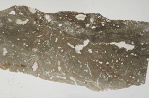 Plane Polarized, S56638