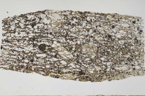 Plane Polarized, S56639