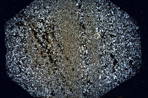 Cross Polarized, S56642