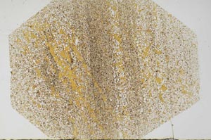 Plane Polarized, S56642