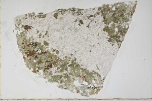 Plane Polarized, S56646/A