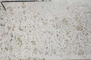 Plane Polarized, S56648