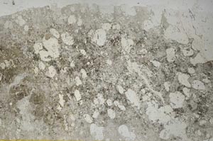Plane Polarized, S56653