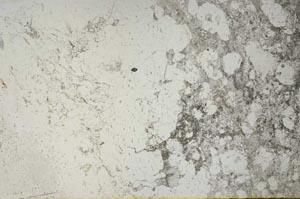 Plane Polarized, S56653/A