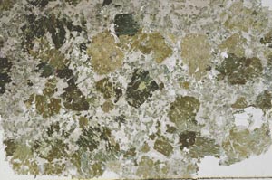 Plane Polarized, S56661