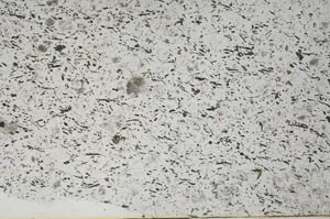 Plane Polarized, S56670