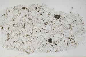 Plane Polarized, S56672