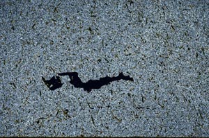 Cross Polarized, S56673