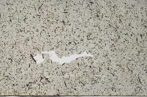 Plane Polarized, S56673