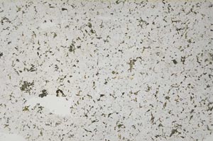 Plane Polarized, S56685