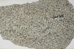Plane Polarized, S56688