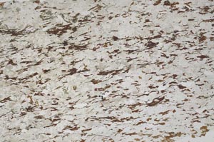 Plane Polarized, S56693