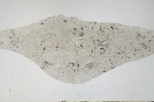 Plane Polarized, S56723