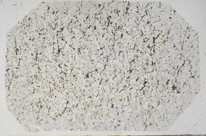 Plane Polarized, S56724