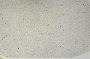 Plane Polarized, S56730