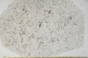 Plane Polarized, S56732