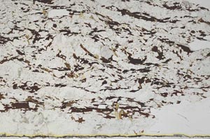 Plane Polarized, S56745