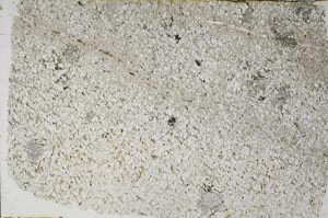 Plane Polarized, S56747