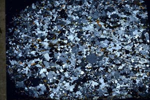 Cross Polarized, S56754