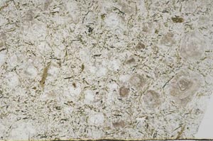 Plane Polarized, S56759