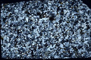 Cross Polarized, S56773