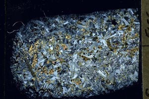 Cross Polarized, S56792