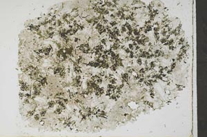 Plane Polarized, S56792/A