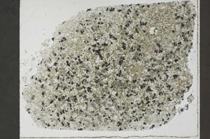 Plane Polarized, S56793