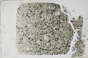 Plane Polarized, S56793/A