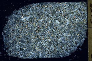 Cross Polarized, S56794