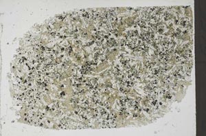 Plane Polarized, S56794