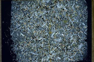 Cross Polarized, S56794/A