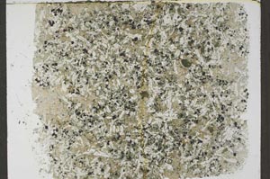 Plane Polarized, S56794/A