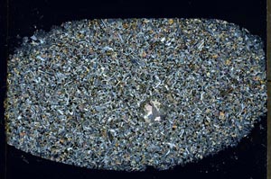 Cross Polarized, S56795