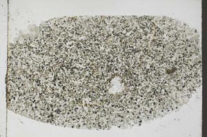 Plane Polarized, S56795