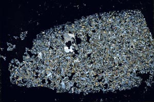 Cross Polarized, S56795/A