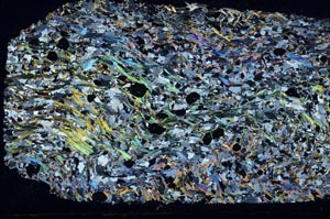 Cross Polarized, S56814
