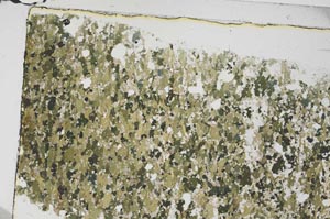 Plane Polarized, S56818