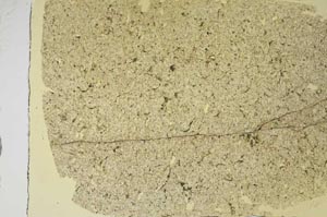 Plane Polarized, S56822