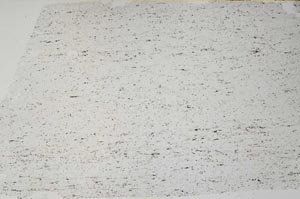 Plane Polarized, S56832